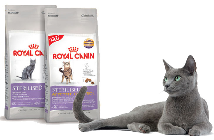 Какой корм для стерилизованного кота лучший. Роял Канин для кошек. Royal Canin корм для кошек. Корм для кошек Роял Канин для стерилизованных. Роял Канин Уринари Кеа.